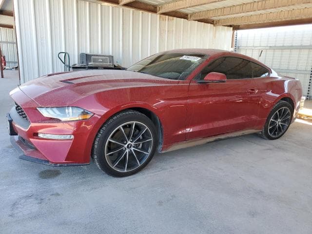 2020 Ford all models