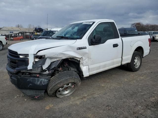 2019 Ford all models