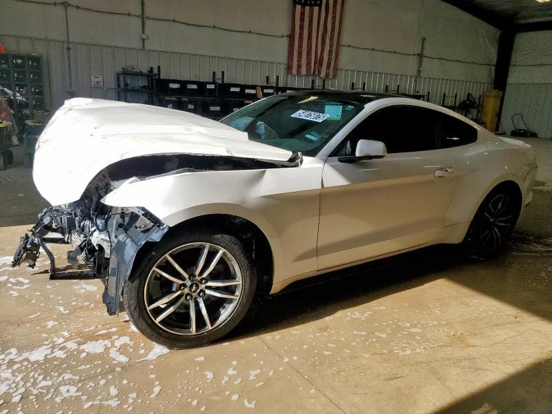 2017 Ford all models