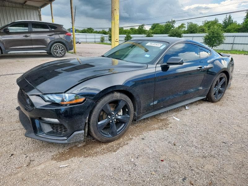 2021 Ford all models