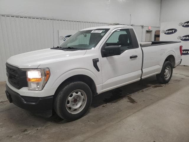 2021 Ford all models