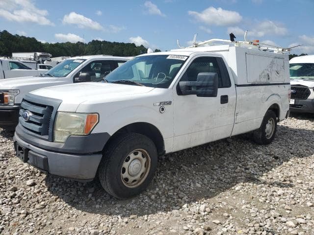 2010 Ford all models