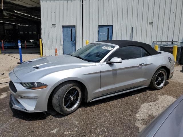 2019 Ford all models