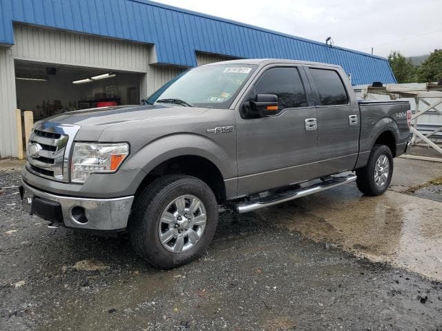 2009 Ford F-150