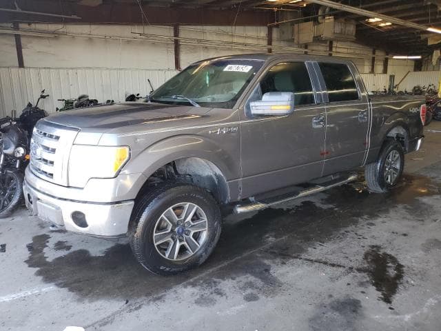 2009 Ford F-150