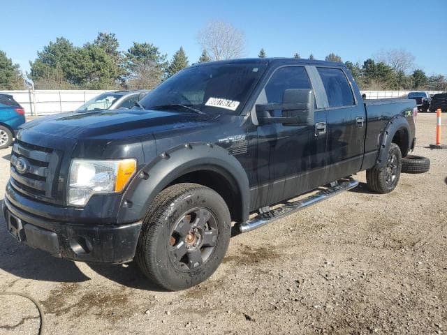 2009 Ford F-150