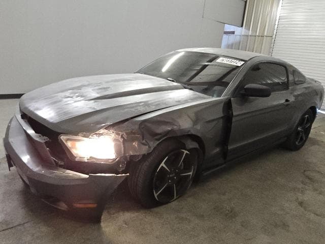 2010 Ford all models